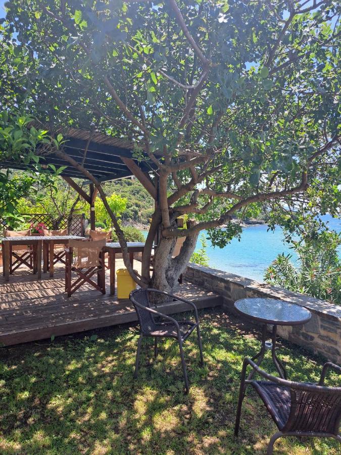 Vila La Casa Sul Mare PalaiónTsiflíkion Exteriér fotografie
